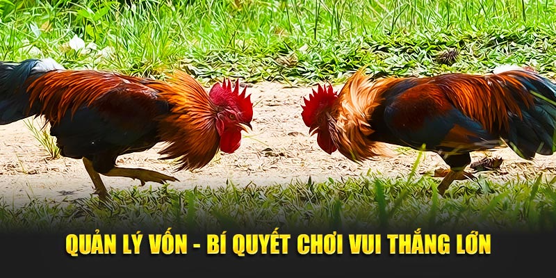 Quản lý vốn - Bí quyết chơi vui thắng lớn