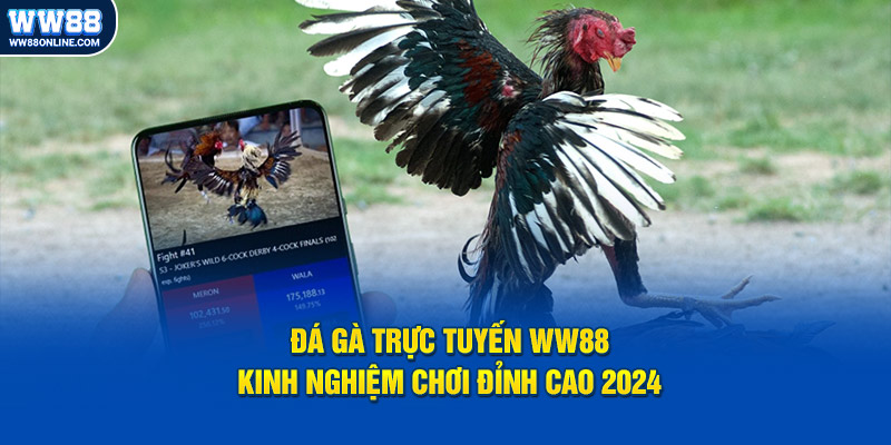 da ga truc tuyen ww88 kinh nghiem choi dinh cao 2024