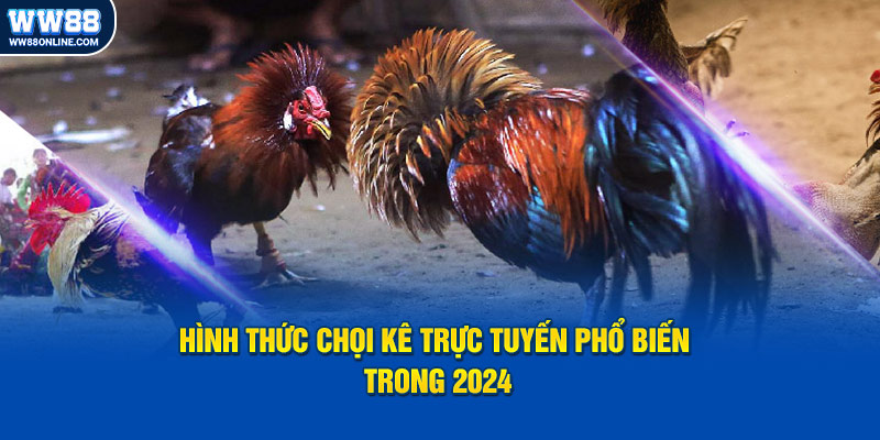 Chọi kê qua mạng internet phổ biến trong năm 2024